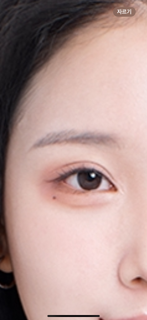 페리페라 (peripera) 스피디 스키니 브로우 마스카라 [007 토프애쉬] review image