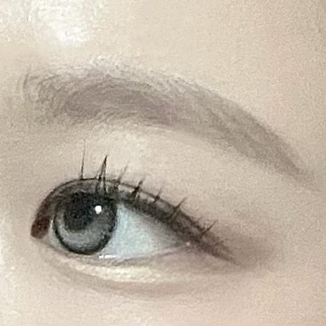 菲丽菲拉 007 Top Ash 极速修颜睫毛膏 review image