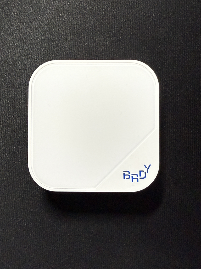 비레디 (B.READY) 블루 쿠션 4세대 [SPF34/PA++] [02 라이언] review image