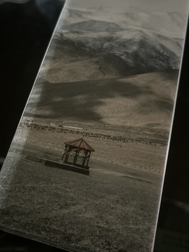 나드 (NARD) 센시티브 두피 케어 샴푸 review image