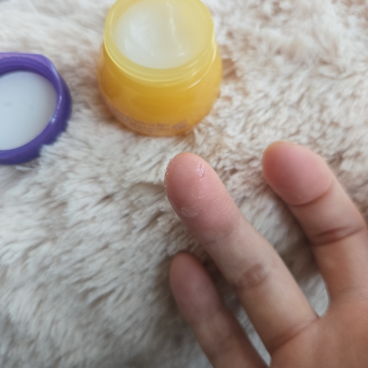 후르디아 (FRUDIA) 블루베리 하이드레이팅 허니 립밤 review image