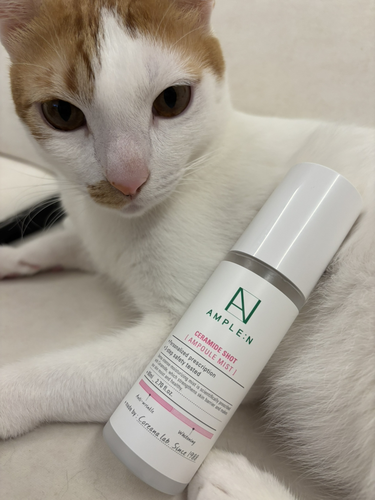 앰플엔 (AMPLE:N) 세라마이드샷 앰플 미스트 review image