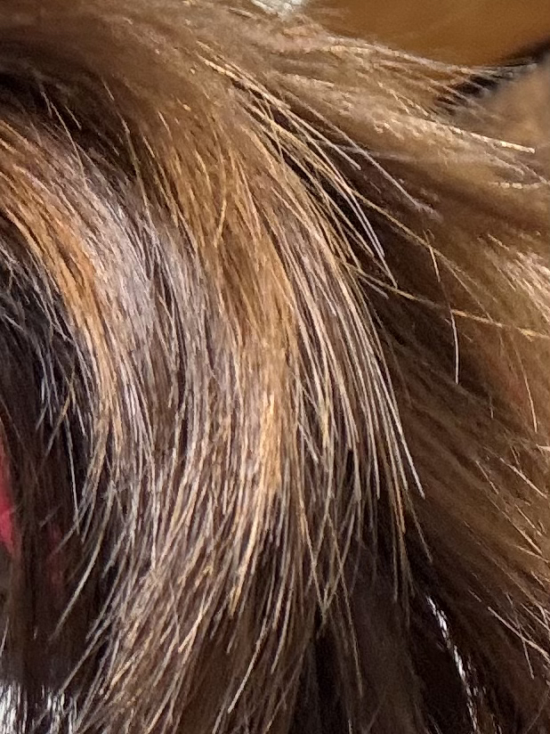 디피어 (DEEPEER) 프리미엄 퍼퓸 리페어 트리트먼트 헤어팩 review image