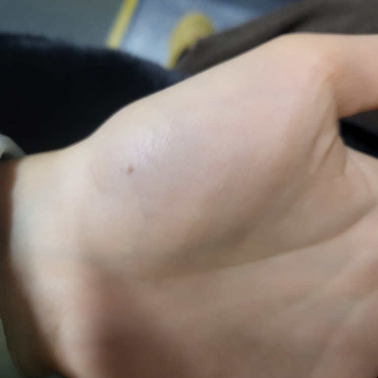 정샘물뷰티 (JUNGSAEMMOOL) 에센셜 스킨 누더 롱웨어 쿠션 [SPF50+/PA+++] [미디엄] review image