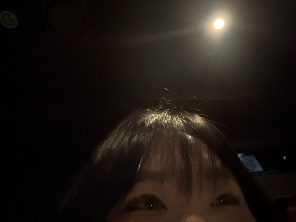 Daleaf Glam Styling Fixer review image