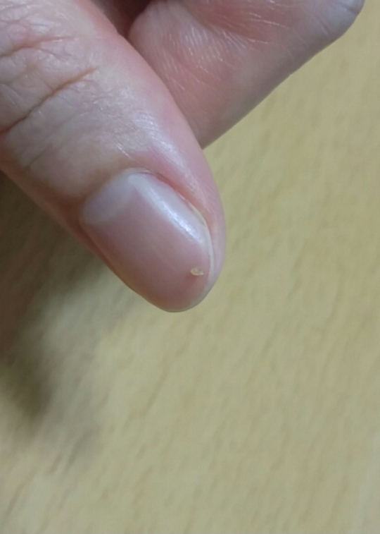 치노시오야 (CHINOSHIOYA) 내추럴 포어 클렌징오일 review image