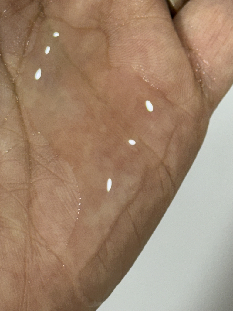 몽디에스 (mongdies) 바스 앤드 샴푸 review image