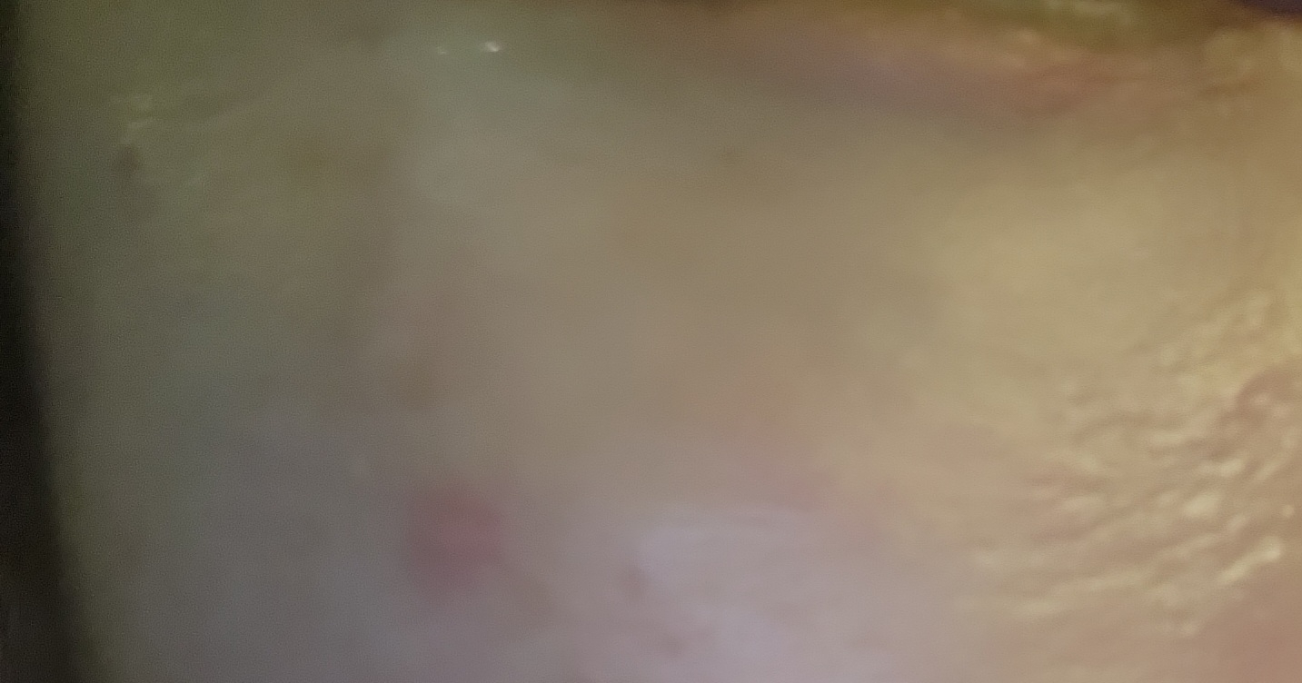 erborian BB Cream [SPF20] [Marfil] review image