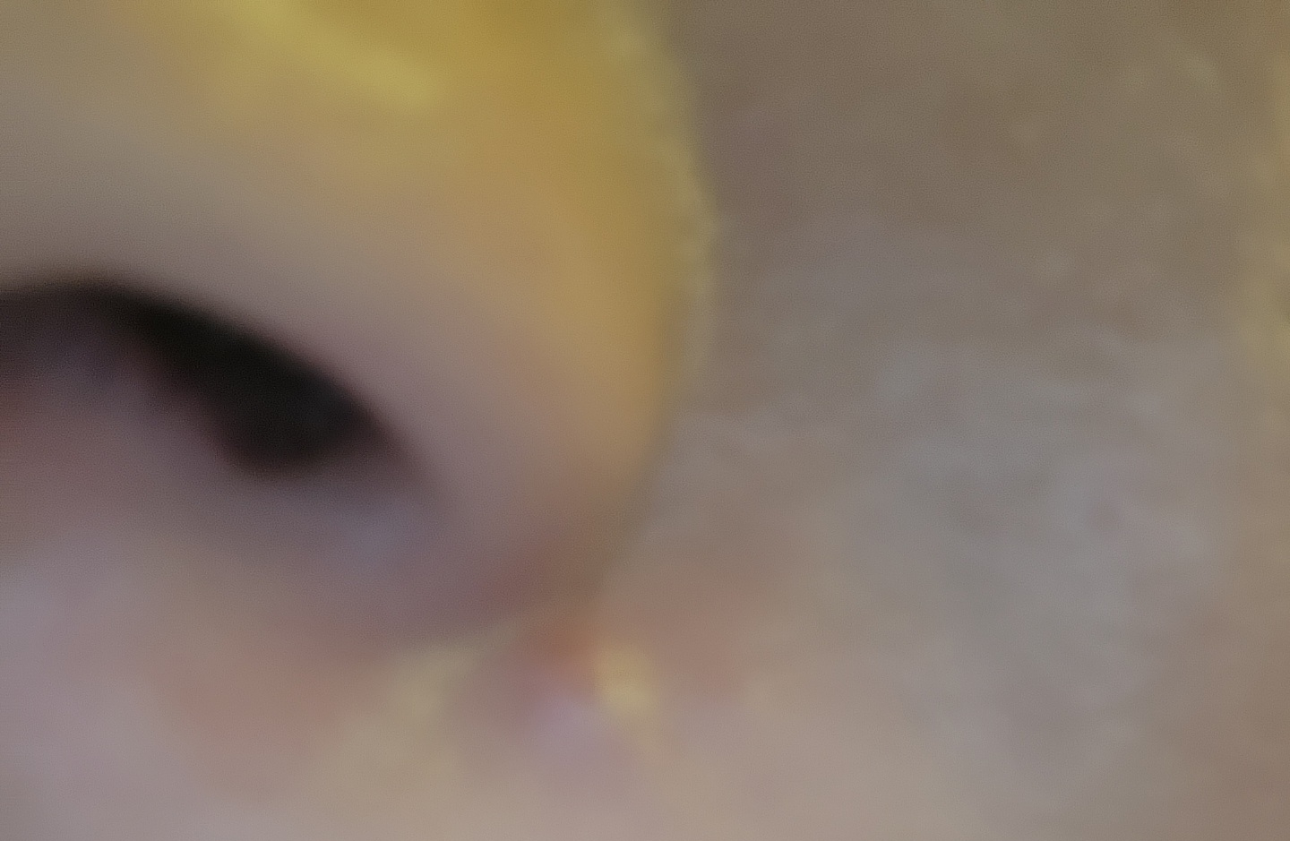 erborian BB Cream [SPF20] [Marfil] review image