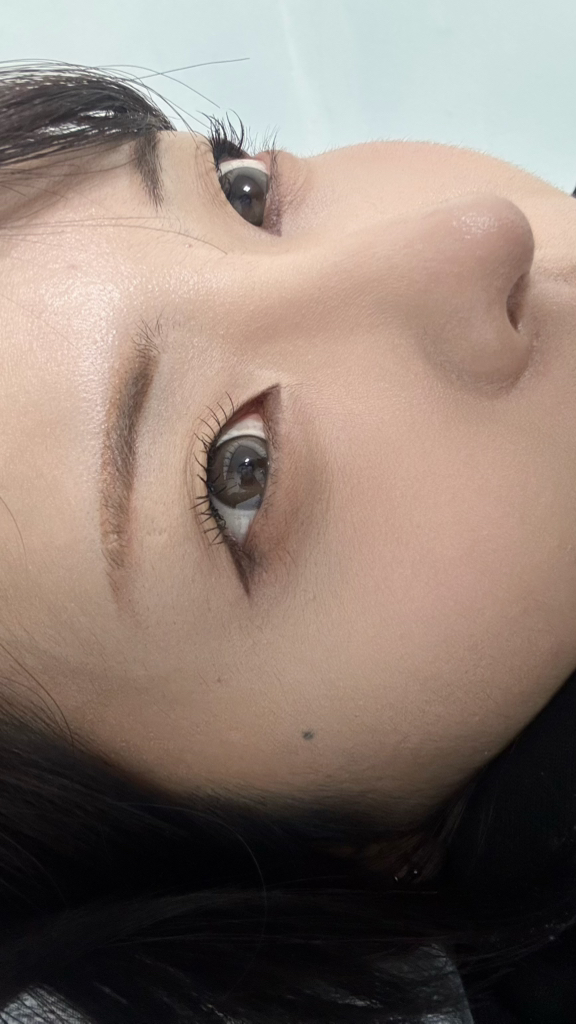 기타
