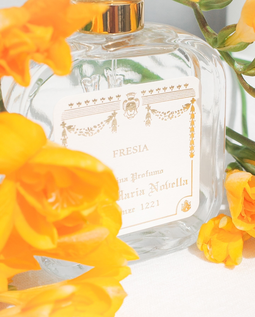 Santa Maria Novella Firenze 1221 FRESIA | Hwahae Global