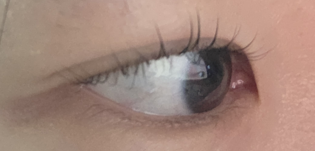 기타