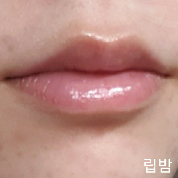 기타