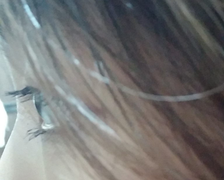Real user review photo of Face It Max Eye Mascara [01 Mega Volume]