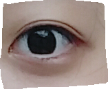 Real user review photo of Always New Auto Liner [No. 12 Ododog Peanut Road]