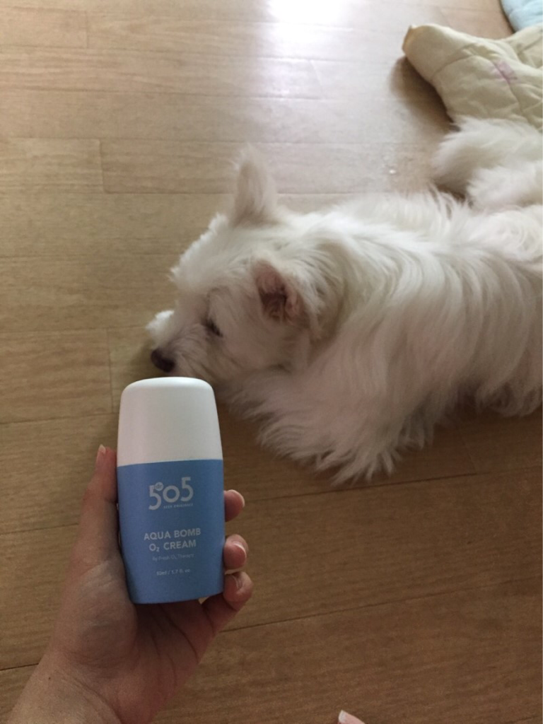 dr.505 水光炫彩霜 common.review image
