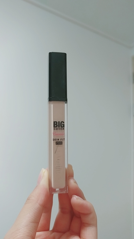 Real user review photo of BIG COVER SKIN FIT CONCEALER PRO [N05 Sand]