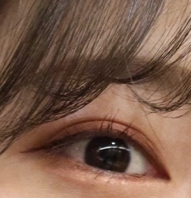 Real user review photo of Last Pen Eyeliner [No. 04 Red Brown]