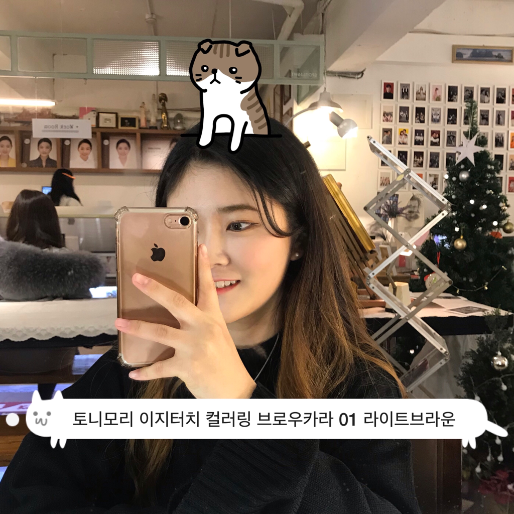 토니모리 (TONYMOLY) 이지터치 컬러링 브로우카라 [1호 라이트브라운] review image