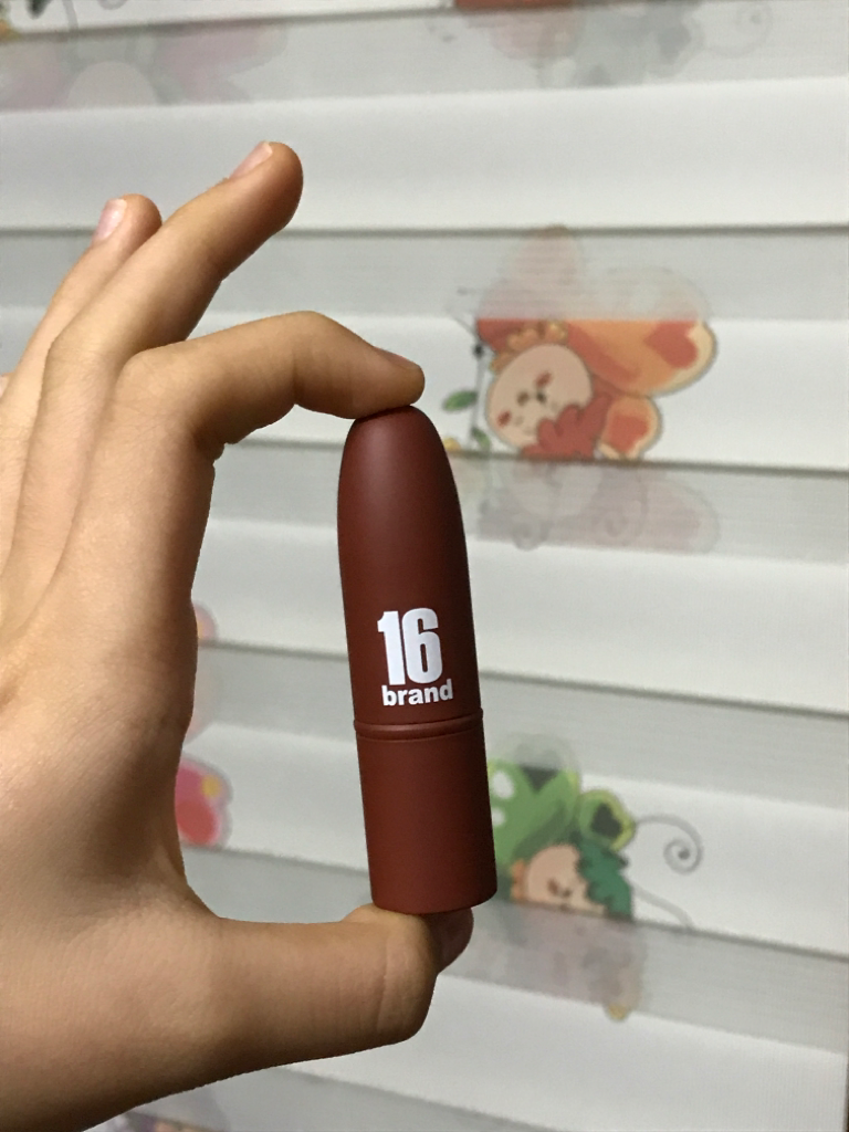 泰斯特 Chu 特别版 全部 16 [棕色模糊]的真实用户使用照片