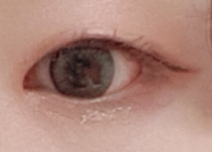 식스틴브랜드 (16brand) 캔디 락 슈가 파티 [진저슈가] review image