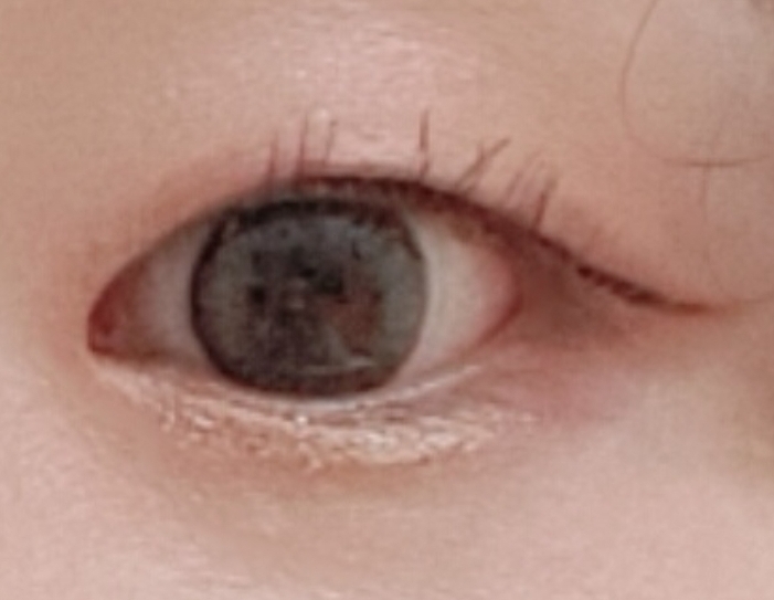 식스틴브랜드 (16brand) 캔디 락 슈가 파티 [진저슈가] review image