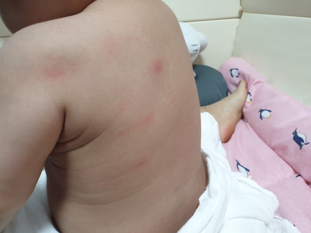 사용전
