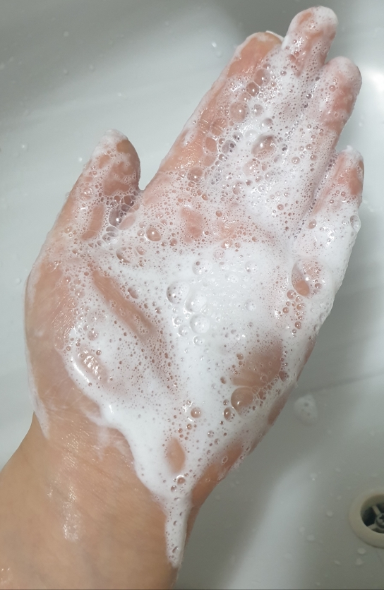 빅토리아 (Victoria) 스웨덴 에그팩 요거트&에델바이스 review image