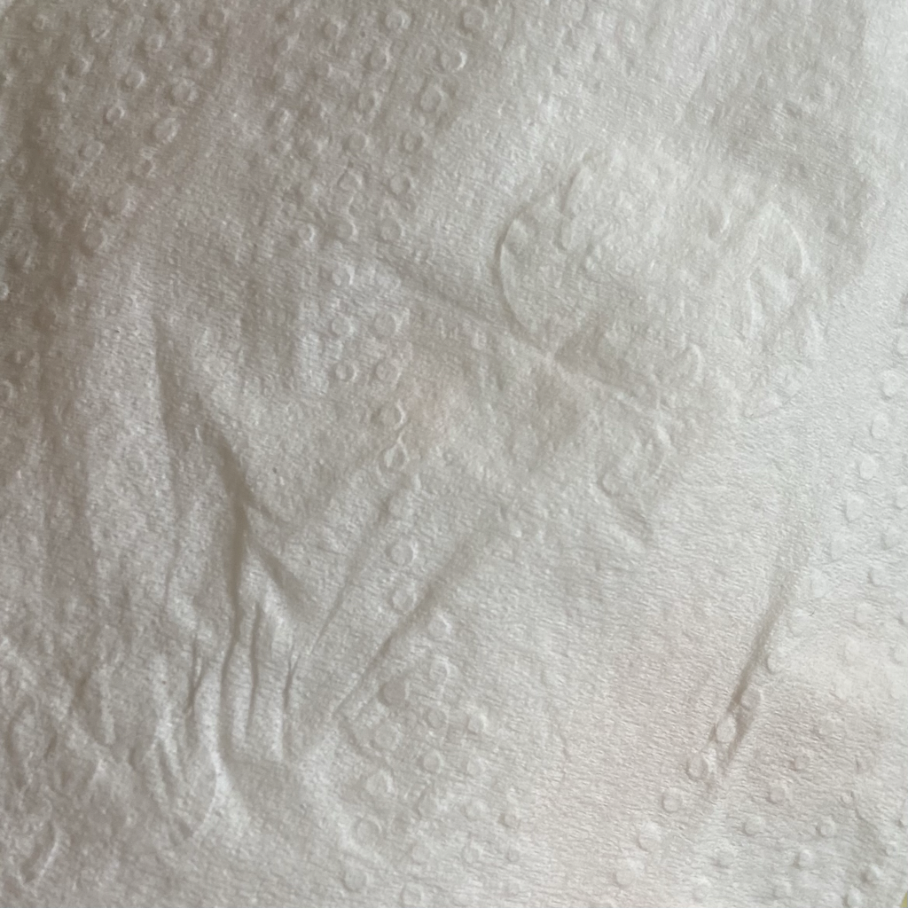 步步基本 [237 鲑鱼光泽]的真实用户使用照片