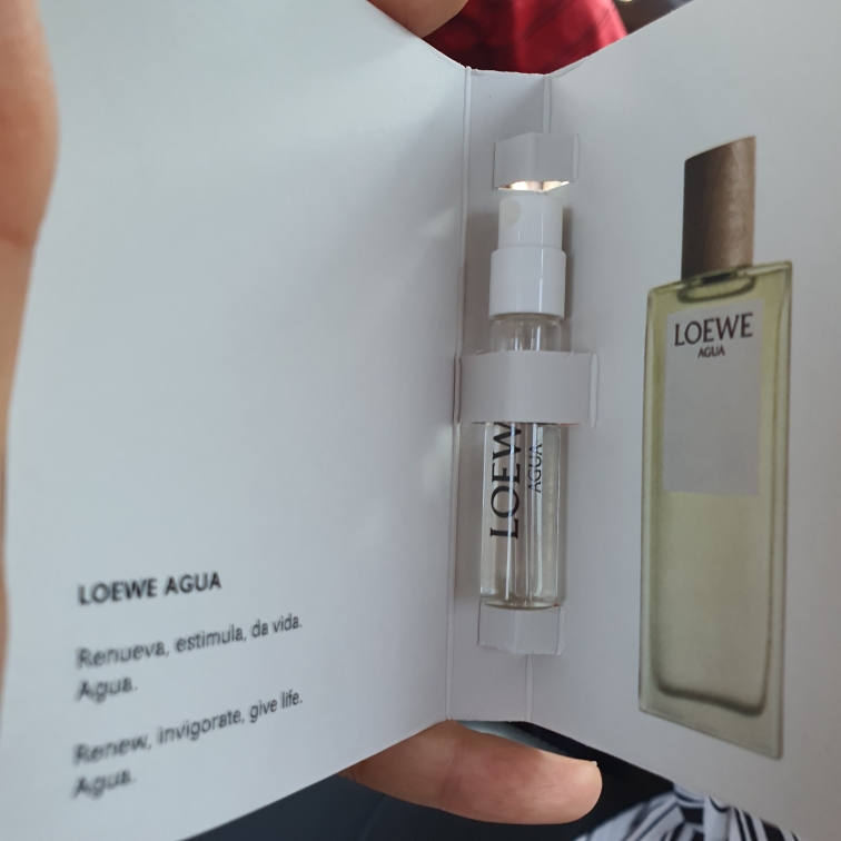 로에베 (LOEWE) 아구아 오 드 뚜왈렛 review image