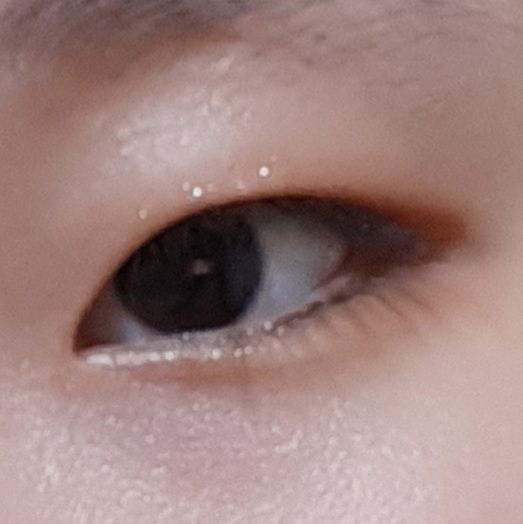에뛰드 (ETUDE) 플레이 컬러 아이즈 미니 [#빈티지까멜리아] review image