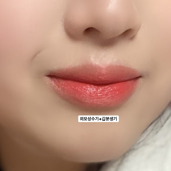 페리페라 (peripera) 잉크 더 벨벳 [004 갑분생기] review image