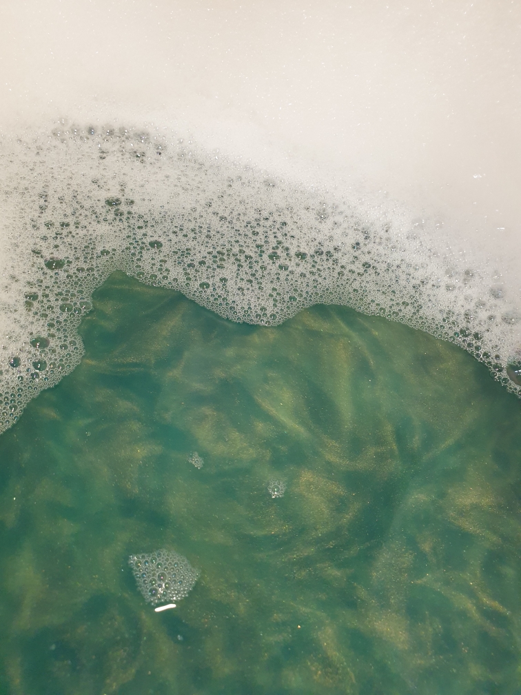 러쉬 (LUSH) 써니사이드 review image