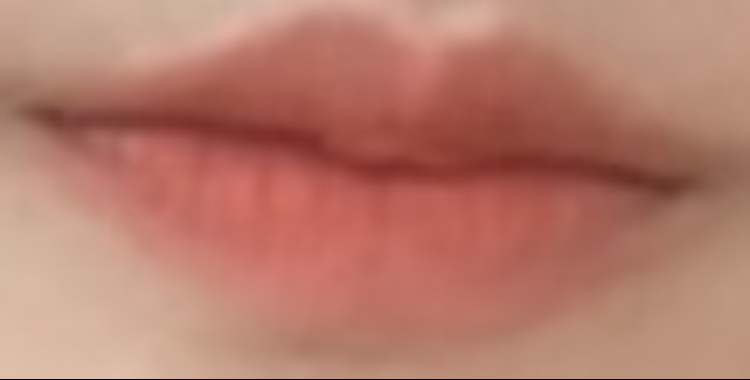 BOURJOIS 柔软丝绒版 [04 桃子俱乐部] common.review image