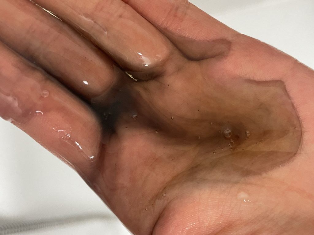 product review image