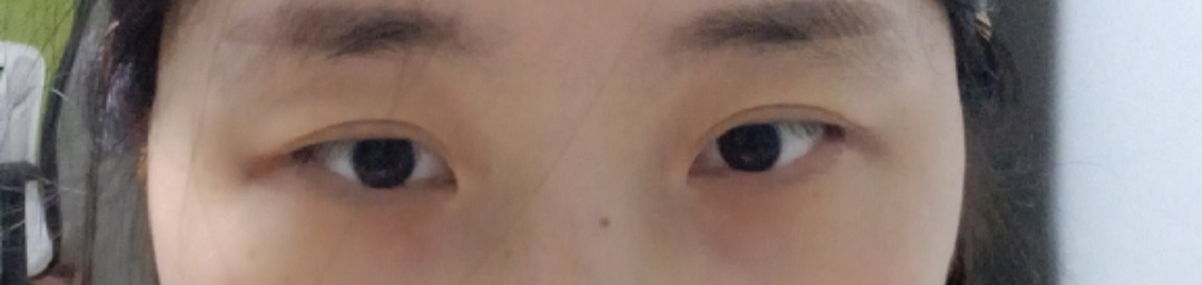 Real user review photo of Artist Concealer Palette [Blend]