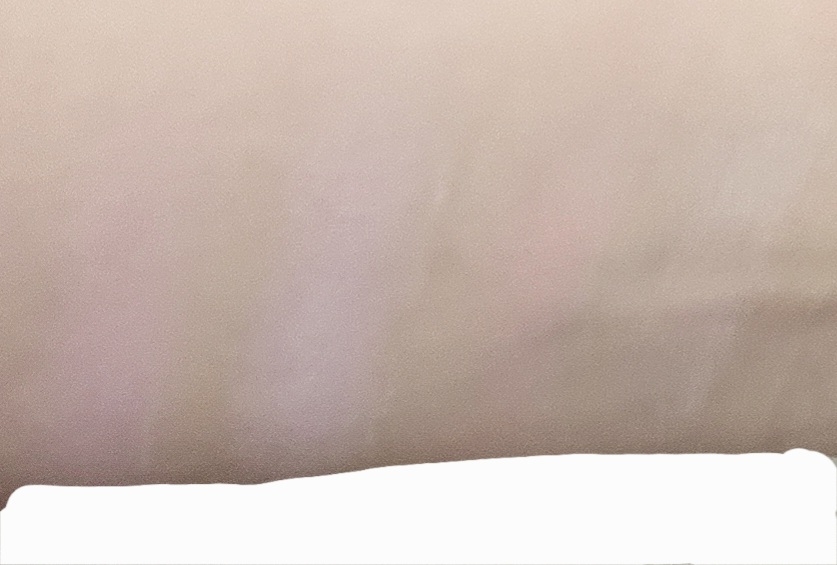 ソフトぼかしアイパレット [07 ピュアラベンダーぼかし]のリアルなユーザー写真