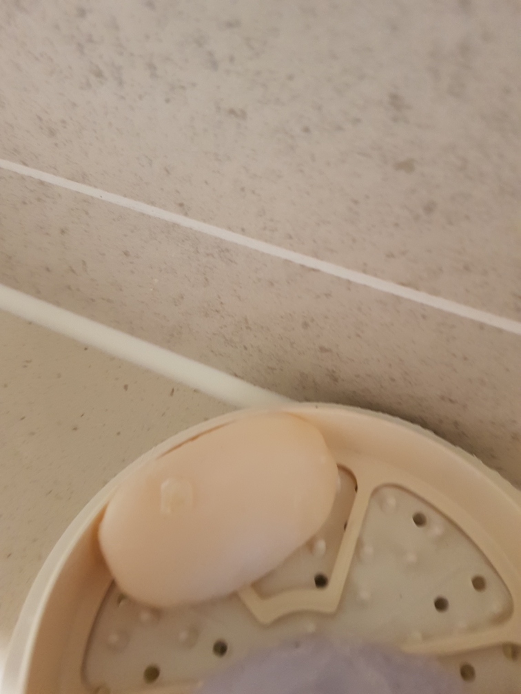 维多利亚 新瑞典蛋包酸奶和 Edelweiss common.review image