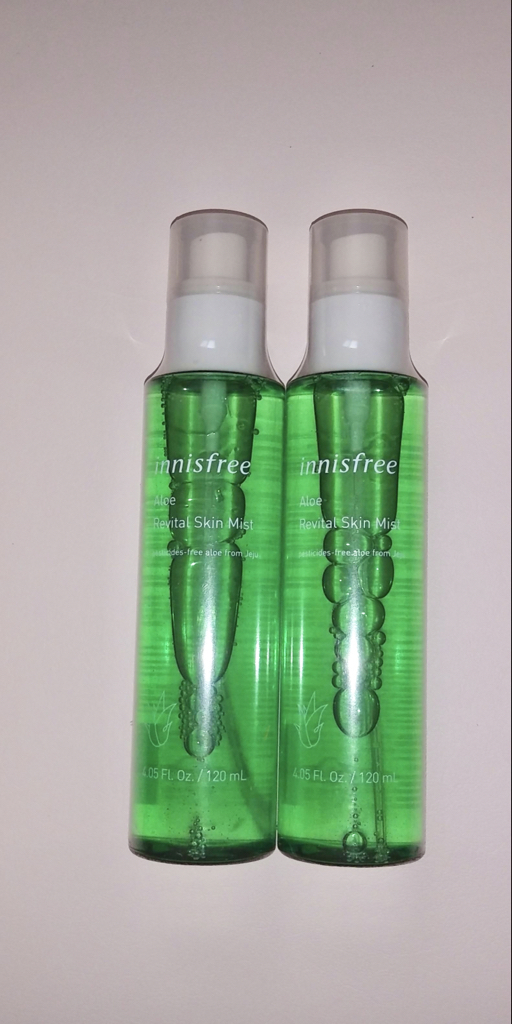aloe vera im freien Aloe Vera, XXL – toskanagartenshop