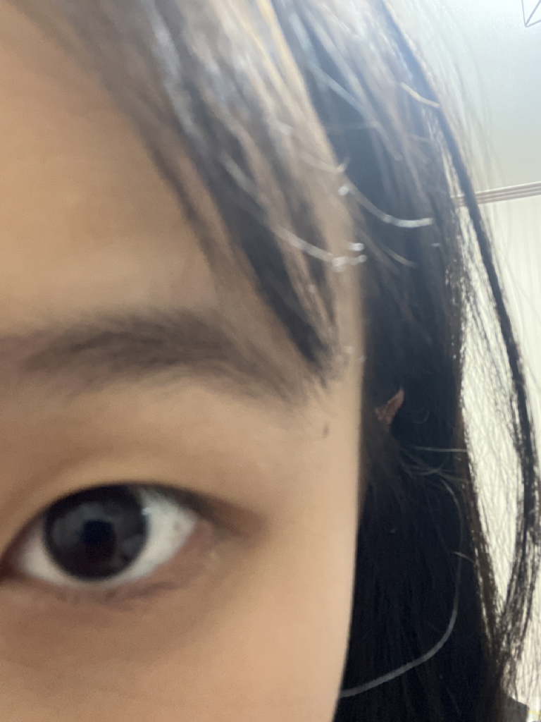 CLIO Kill Lash Super Proof Mascara Brown [001 Chocolate Brown] review image