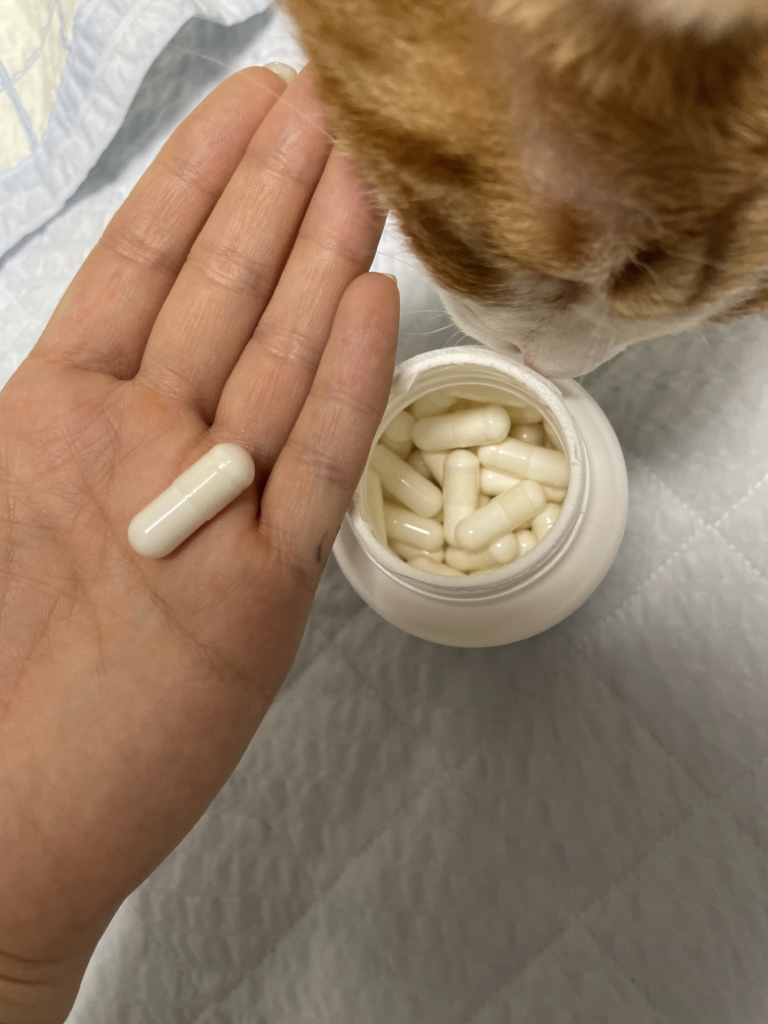 자로우포뮬러스 (JarrowFORMULAS) 판토텐산 review image
