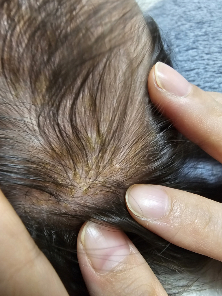 아이보들 (iBodle) 호호바100% 오일 review image