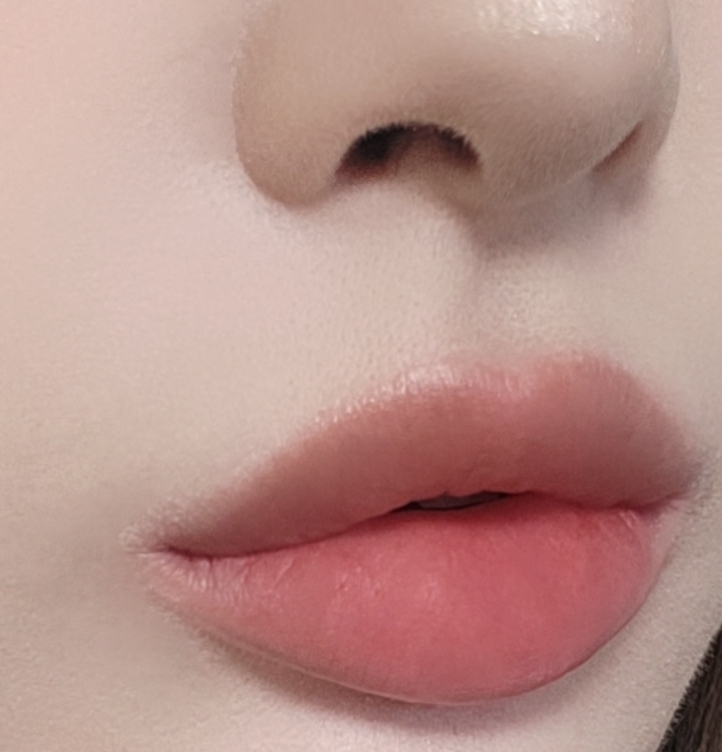 웨이크메이크 (wakemake) 워터 블러링 픽싱 틴트 [05 소프트브릭] review image