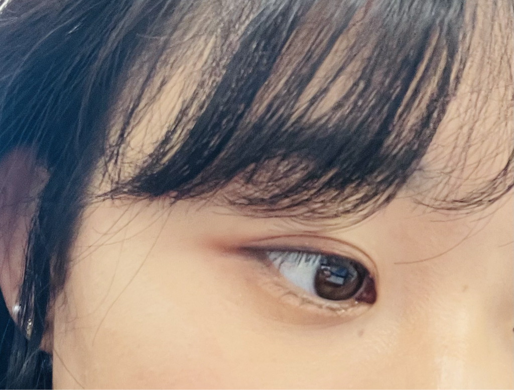 Real user review photo of Ink Pocket Shadow Palette [03 Rolling In The Autumn]
