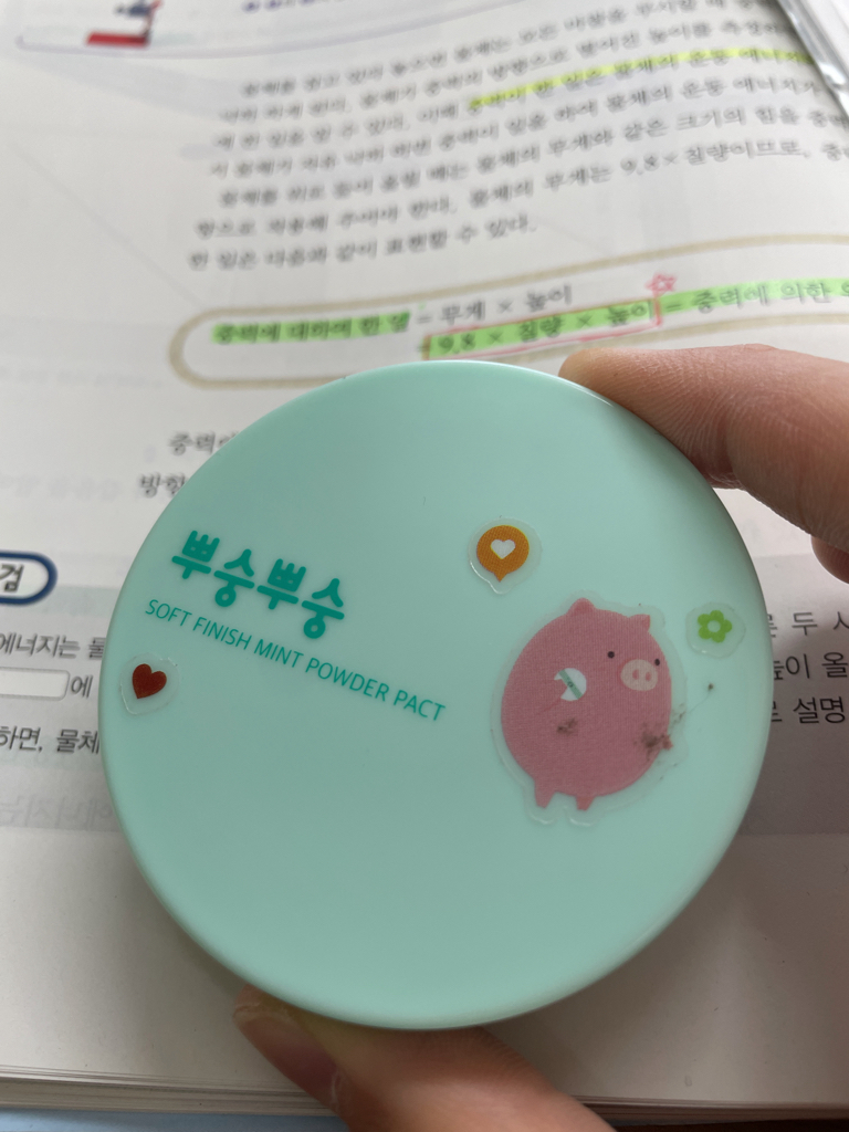 미팩토리 (MEFACTORY) 뿌숭뿌숭 민트 파우더 팩트 review image
