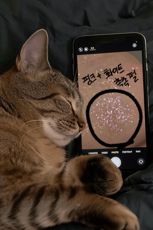 URBANDECAY 月尘闪亮眼影 [Glitter Rock] (闪亮摇滚) common.review image