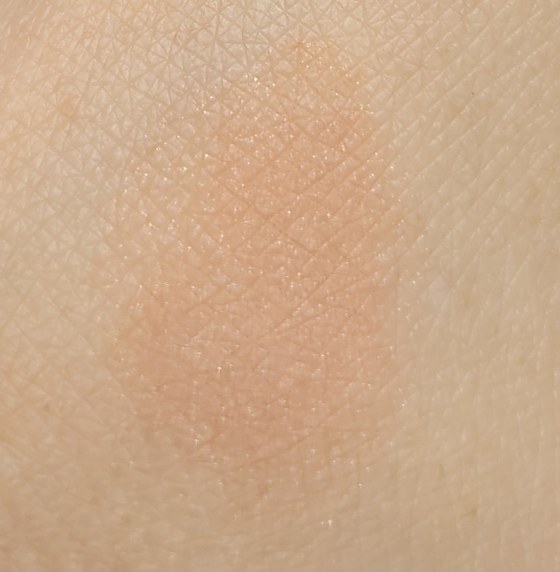 이글립스 (EGLIPS) 올오버 블러셔 [02 베이지로그] review image