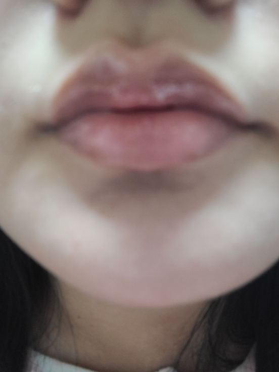 Dinto Blogloy Lip Tint [210 Reverentia] review image