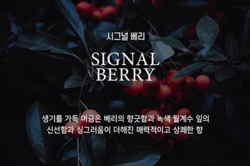 데일리콤마 (DAILYCOMMA) 모스트 퍼퓸 핸드크림 [시그널베리] review image