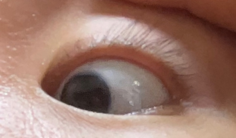 브릭커 (BRICKER) 루트풀 나이트 연어단백질 속눈썹영양제 review image